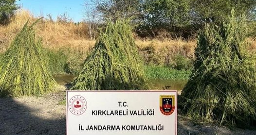 Babaeski’de Jandarmadan Hint keneviri operasyonu