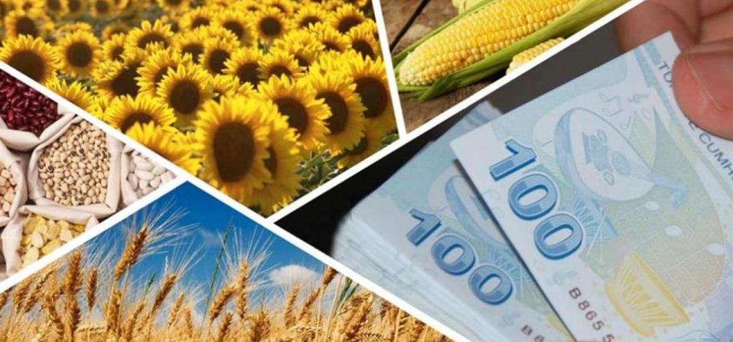 Tohum Kullanım Desteğinden Babaeski’de 774 üretici yararlanacak