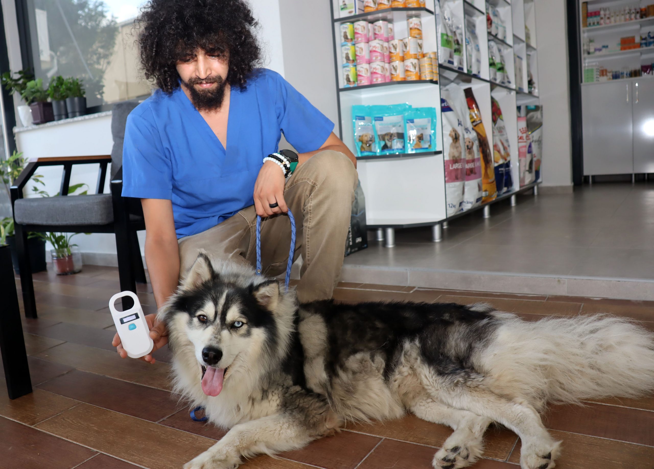 İstanbul'da kaybolan köpek, Keşan da bulundu