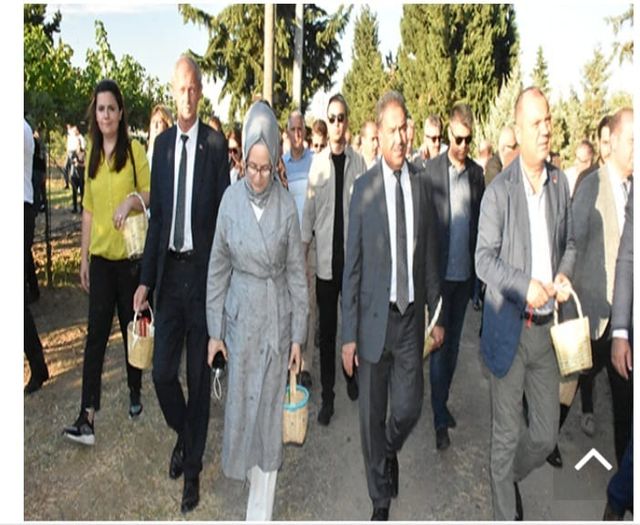 Bağ Bozumu Etkinliği Düzenlendi