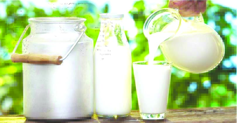 Çiğ Süt Desteklemeleri Bugün Ödenecek