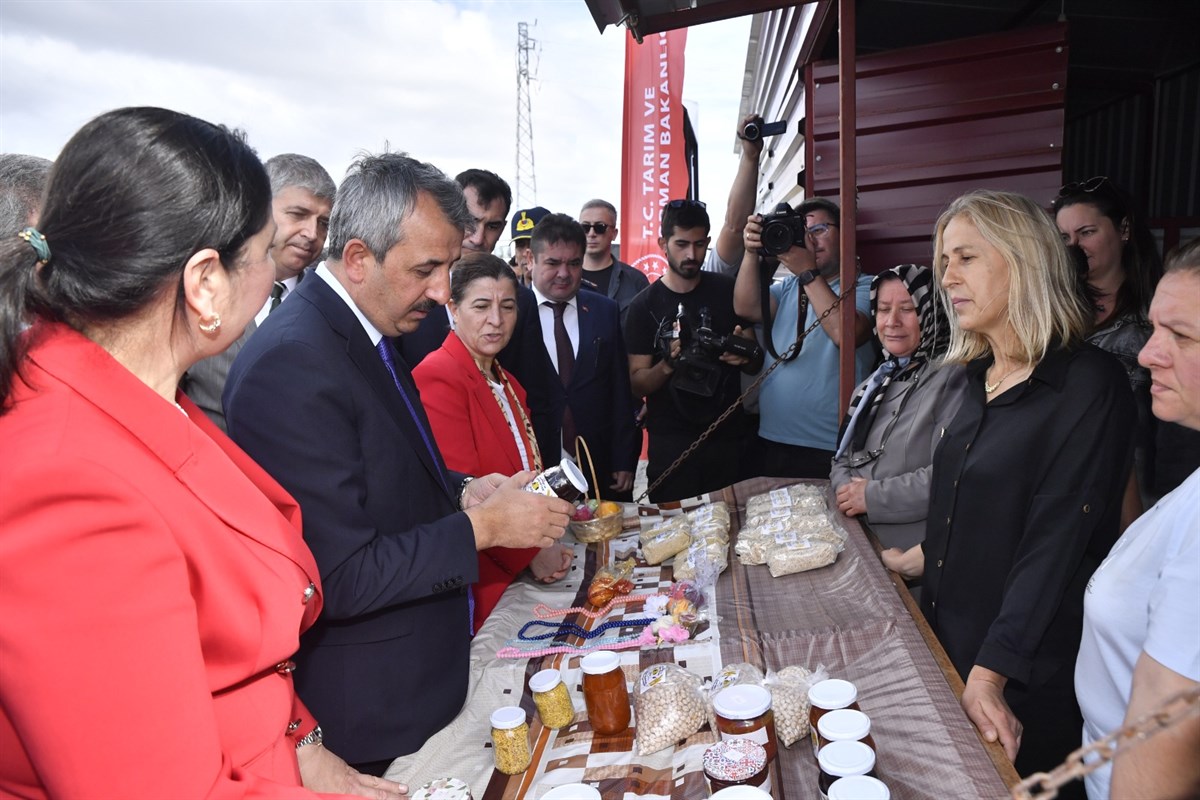 Edirne'nin Sarı Çiçeği Kanola Tohumu Dağıtım Töreni Gerçekleşti