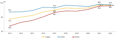2018-2022 yılları arasındaki istatistiksel veriler  açıklandı