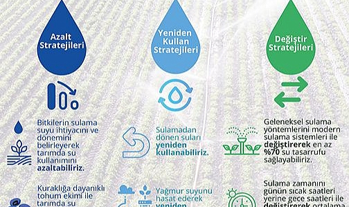 Yeni Adımlar Atılıyor...