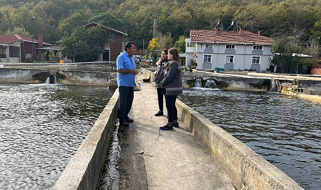 YERELDEN KÜRESELE BÜYÜK İLGİ...