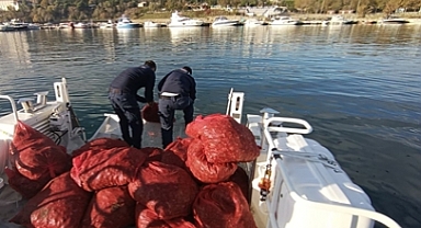 1 ton 500 kilogram kum midyesi...