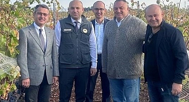 BAĞ BOZUMU...