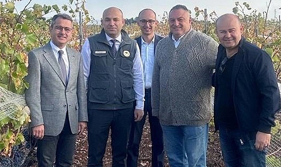 BAĞ BOZUMU...