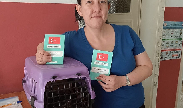ÇİPLEME İŞLEMLERİ SÜRÜYOR...