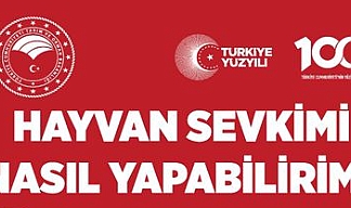 Hayvan sevkimi nasıl yapabilirim?