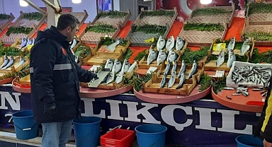 İŞ YERLERİ DENETLENDİ...