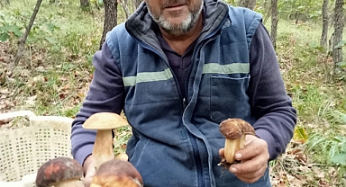 ISTRANCA'LARDA KUZU GÖBEKLERİ...