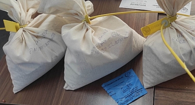 Tohumların Analizine Başlandı...