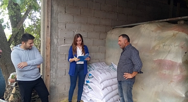 Yeni Adımlar Atıldı...
