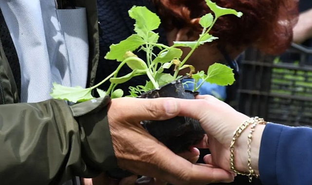 22 Bin 500 Adet Ata Tohumu Fide Dağıtıldı