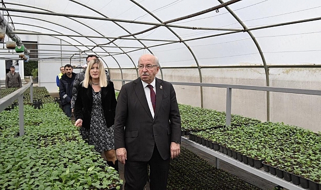 BAŞKAN ALBAYRAK, ÇİÇEK ÜRETİMİNİN YAPILDIĞI SERALARDA İNCELEMELERDE BULUNDU