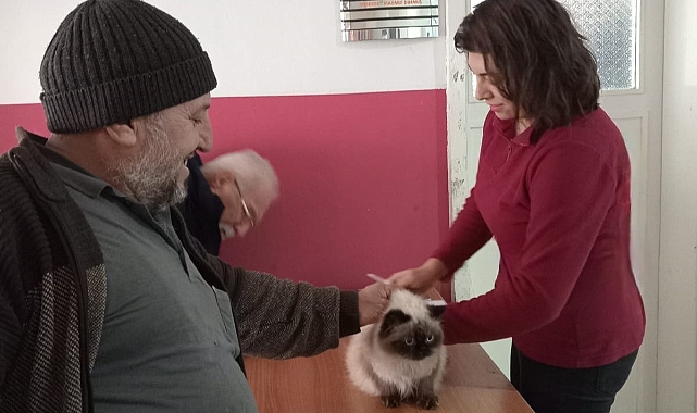 Çip uygulaması devam ediyor