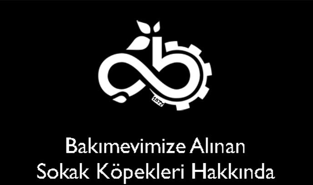 Çorlu Belediyesi'nden Sokak Köpekleri Hakkında Açıklama