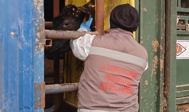 Karantina işlemleri başladı