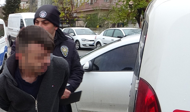Köpeğe taş atan arkadaşlarına silahla ateş eden şüpheliye tutuklama