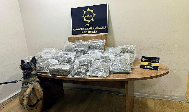 Manavda, sebze ve meyve kasalarının altına gizlenen 15 kilo esrarı 'Larissa' buldu