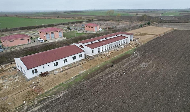 Sokak Hayvanları Geçici Bakımevi ve Rehabilite Merkezi'nde sona yaklaşıldı