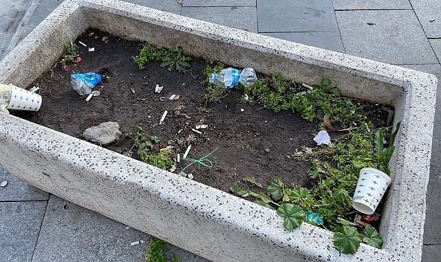 Çiçek Saksıları Çöp Kutusu Oldu