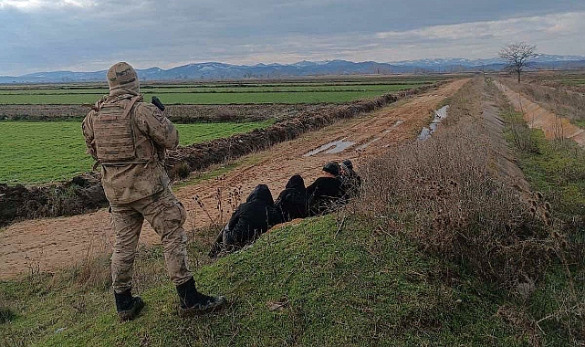 Edirne'de 21 kaçak göçmen yakalandı