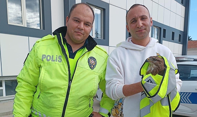 Edirne Trafik Denetleme Şubesi Personeli Yaralı Atmacayı Kurtardı