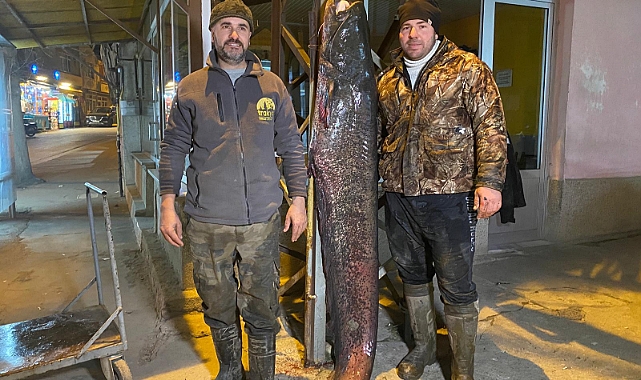 Meriç Nehri'nde 2 metre, 70 kilo yayın yakaladılar