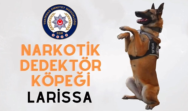 Narkotik Köpek Larissa Tam Tamına 140 Operasyona Katılmıştı!