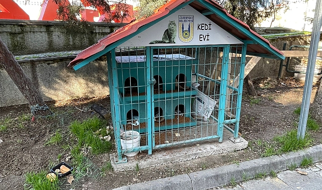 Vatandaşlar Kedi Evlerine Büyük İlgi Gösteriyor