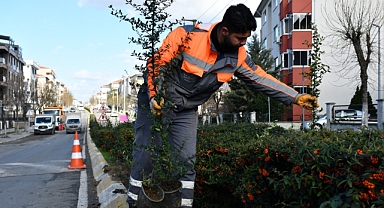 Yeşillendirme çalışmaları devam ediyor