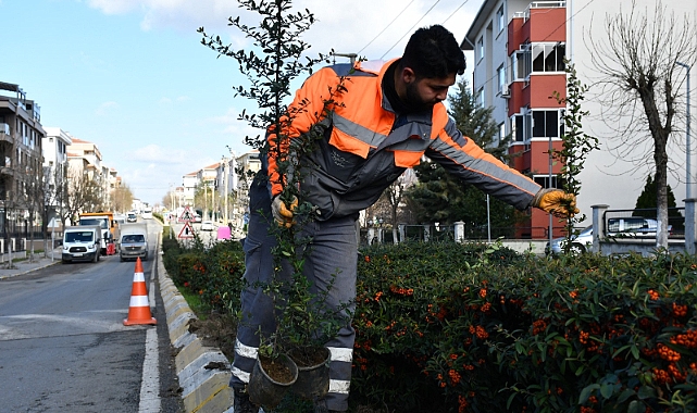 Yeşillendirme çalışmaları devam ediyor