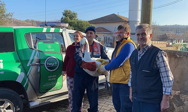 Bahçede bitkin bulunan kuğu, tedaviye alındı