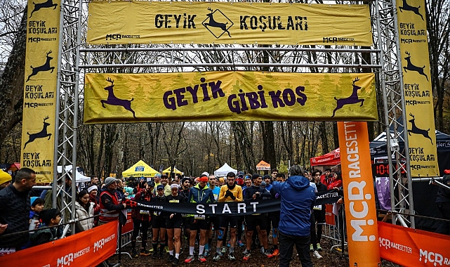 Belgrad Ormanını Geyikler Bastı!