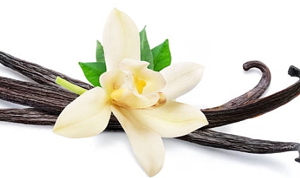 Vanilya Özü: Sağlık ve Aromaterapideki Rolü