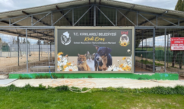 Kedi Eros'un İsmi Kırklareli'de Yaşatılacak