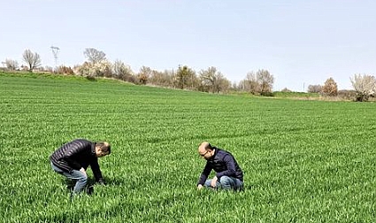 Kırklareli’nde Hububat Alanlarına Yönelik Önemli Kontroller Gerçekleştirildi