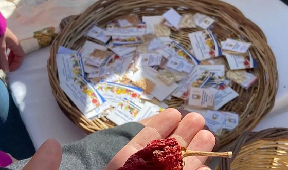 Lüleburgaz Belediyesi Park ve Bahçeler Müdürlüğü, 3. Yerel Tohum Takas Şenliği'nde Yer Aldı