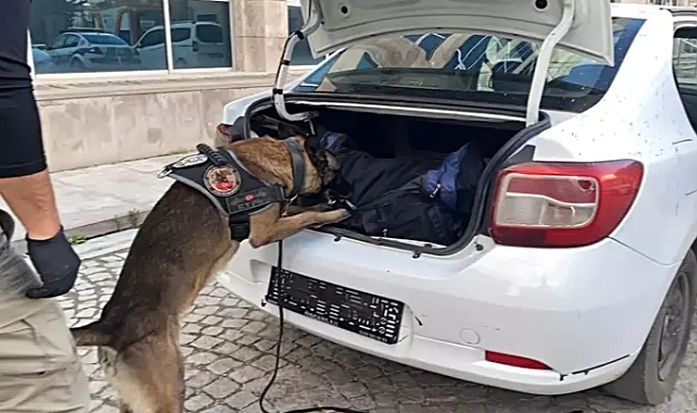 Otomobildeki 11 kilo uyuşturucuyu 'Kongar' buldu; 1 gözaltı