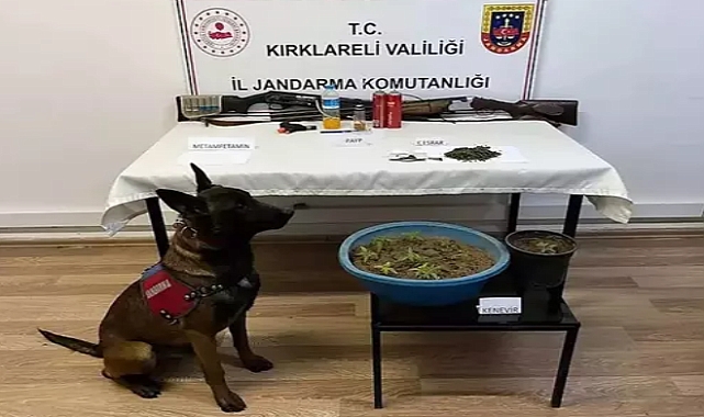 Çiftlikte uyuşturucu ele geçirildi: 1 gözaltı