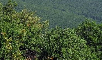 Fotoğrafçılar Bir Cennet