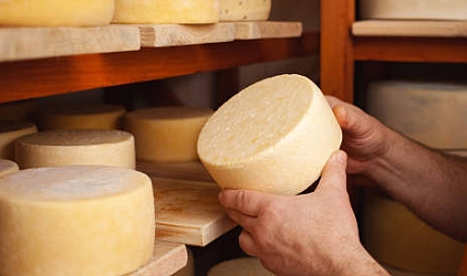 Kaanlar Peynir Fabrikası, Malkara'da Üretim Elemanları Arıyor