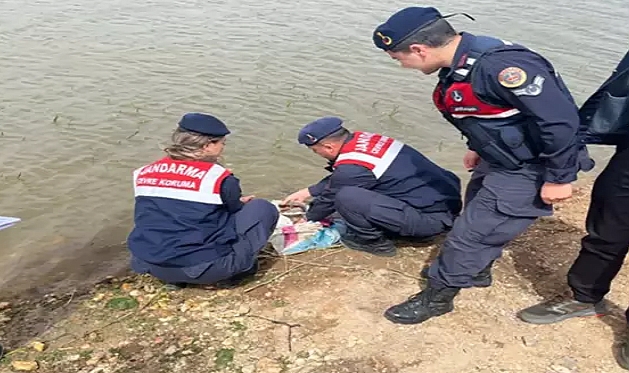 Kaçak avlanan sazan balıkları doğal yaşama bırakıldı