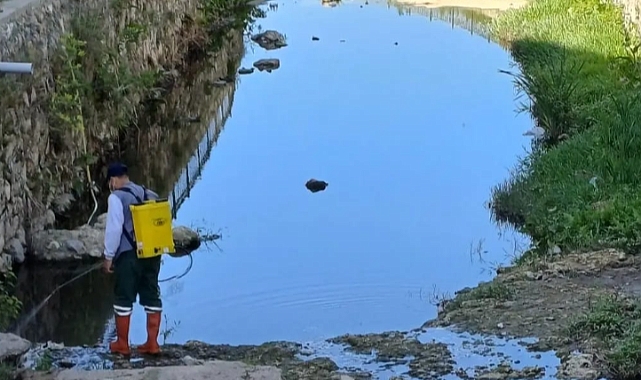 Kırklareli Belediyesi İnci Dere'de Temizlik ve Vektör Mücadelesini Artırıyor