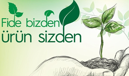 12 bin 500 Adet Atalık Fide Dağıtılacak