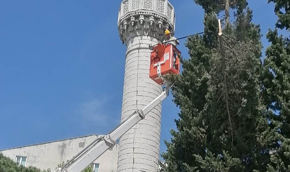 Ağaç Budama Çalışmaları Yapıldı