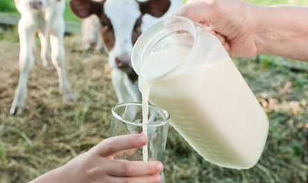 Çiğ süt üretimi %0.4 azaldı