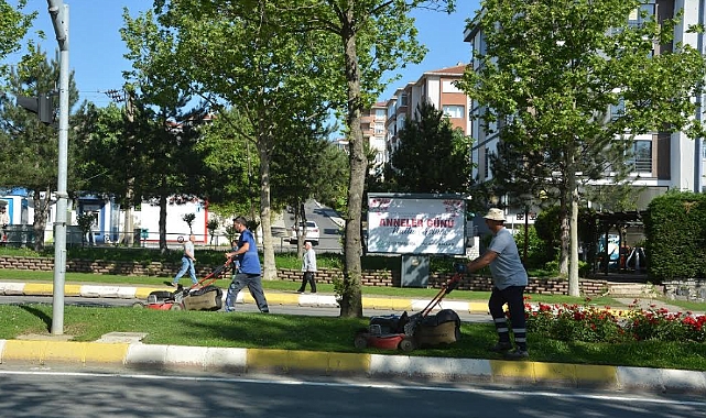 Daha Yeşil Bir Tekirdağ İçin